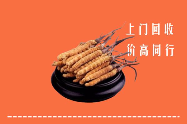高价求购：白银回收散虫草